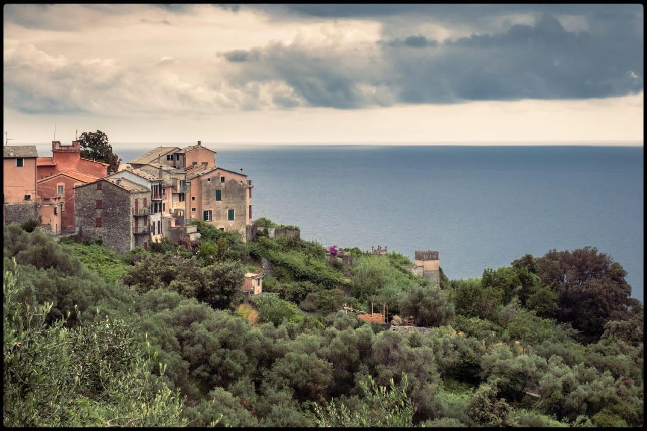 Corner Of Paradise Near Cinque Terre Apartment Framura Exterior photo