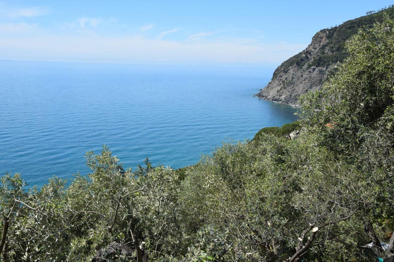 Corner Of Paradise Near Cinque Terre Apartment Framura Exterior photo